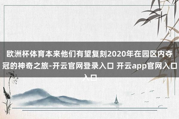 欧洲杯体育本来他们有望复刻2020年在园区内夺冠的神奇之旅-开云官网登录入口 开云app官网入口